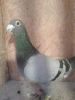 zdjęcie_1